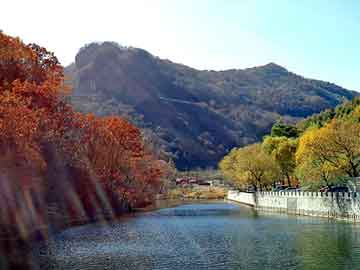 澳门天天开奖免费资料，调兵山seo排名